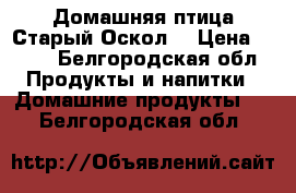 Домашняя птица.Старый Оскол. › Цена ­ 300 - Белгородская обл. Продукты и напитки » Домашние продукты   . Белгородская обл.